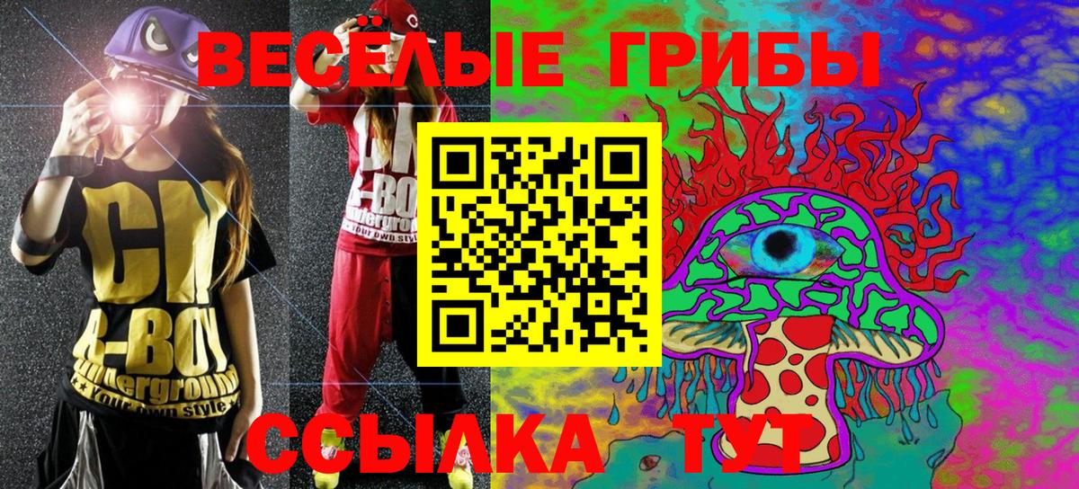 Псилоцибиновые грибы Psilocybine cubensis Краснознаменск