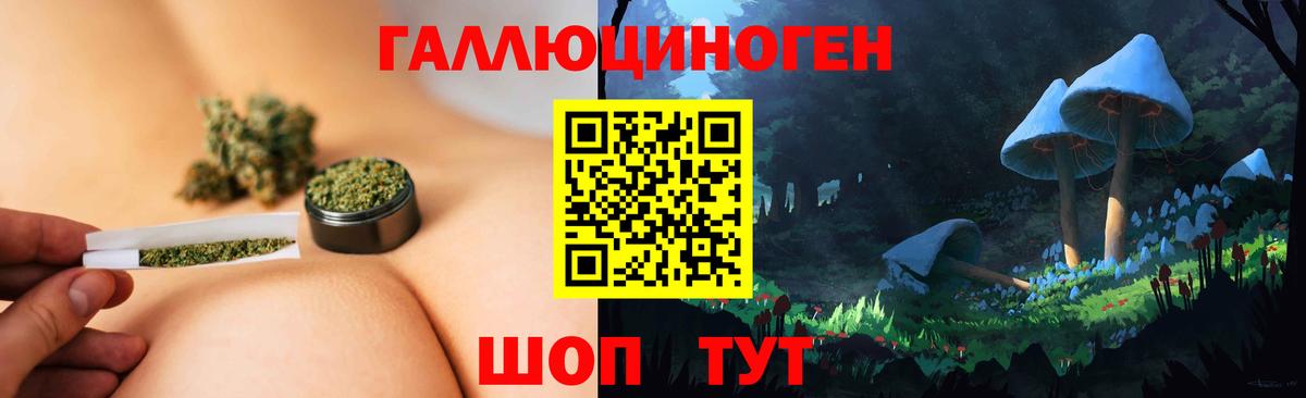 Псилоцибиновые грибы прущие грибы  Вход с VPN  цены   Краснознаменск 